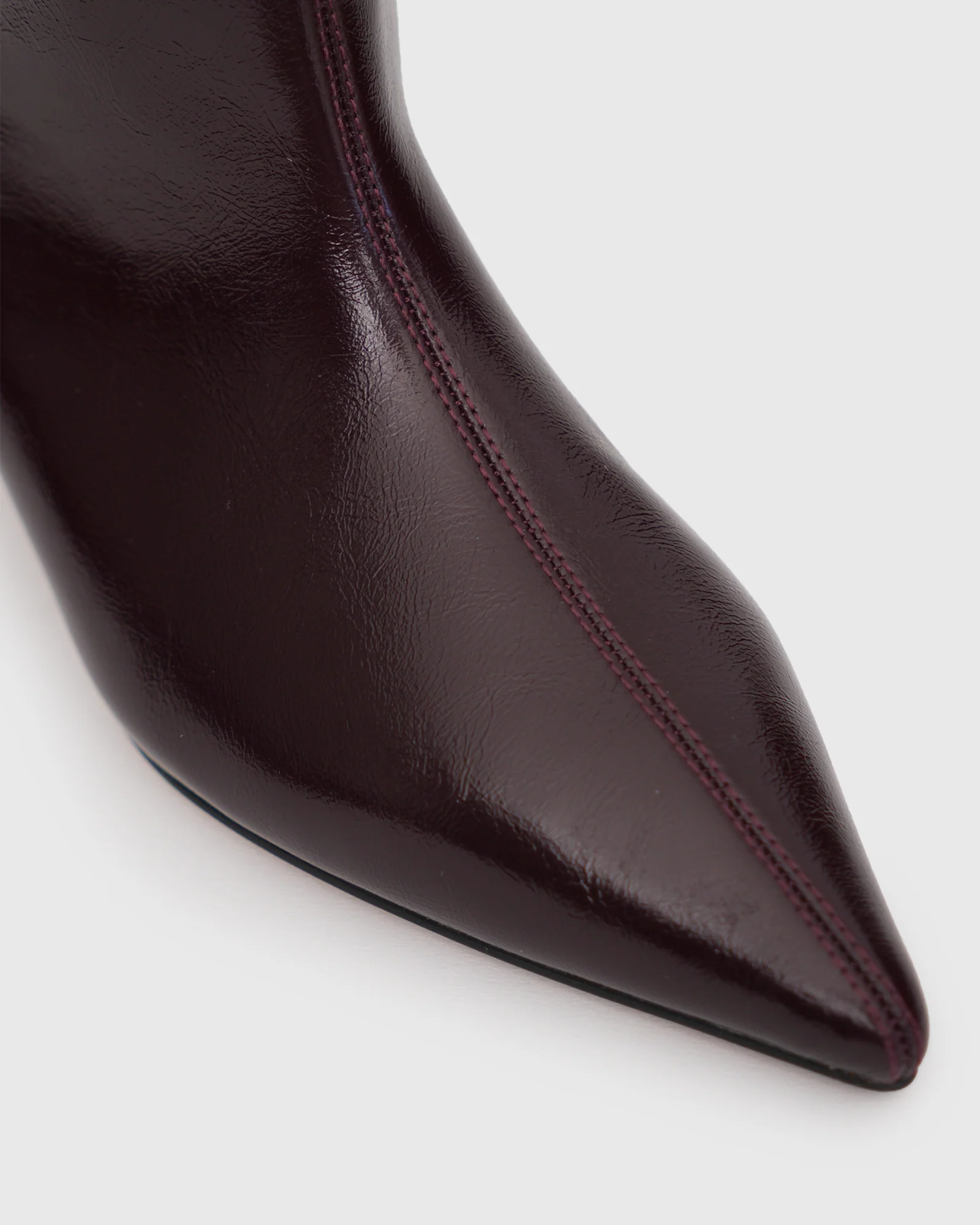 PRE-ORDER LAVINA Pointed Toe Dress Boots - Image 5