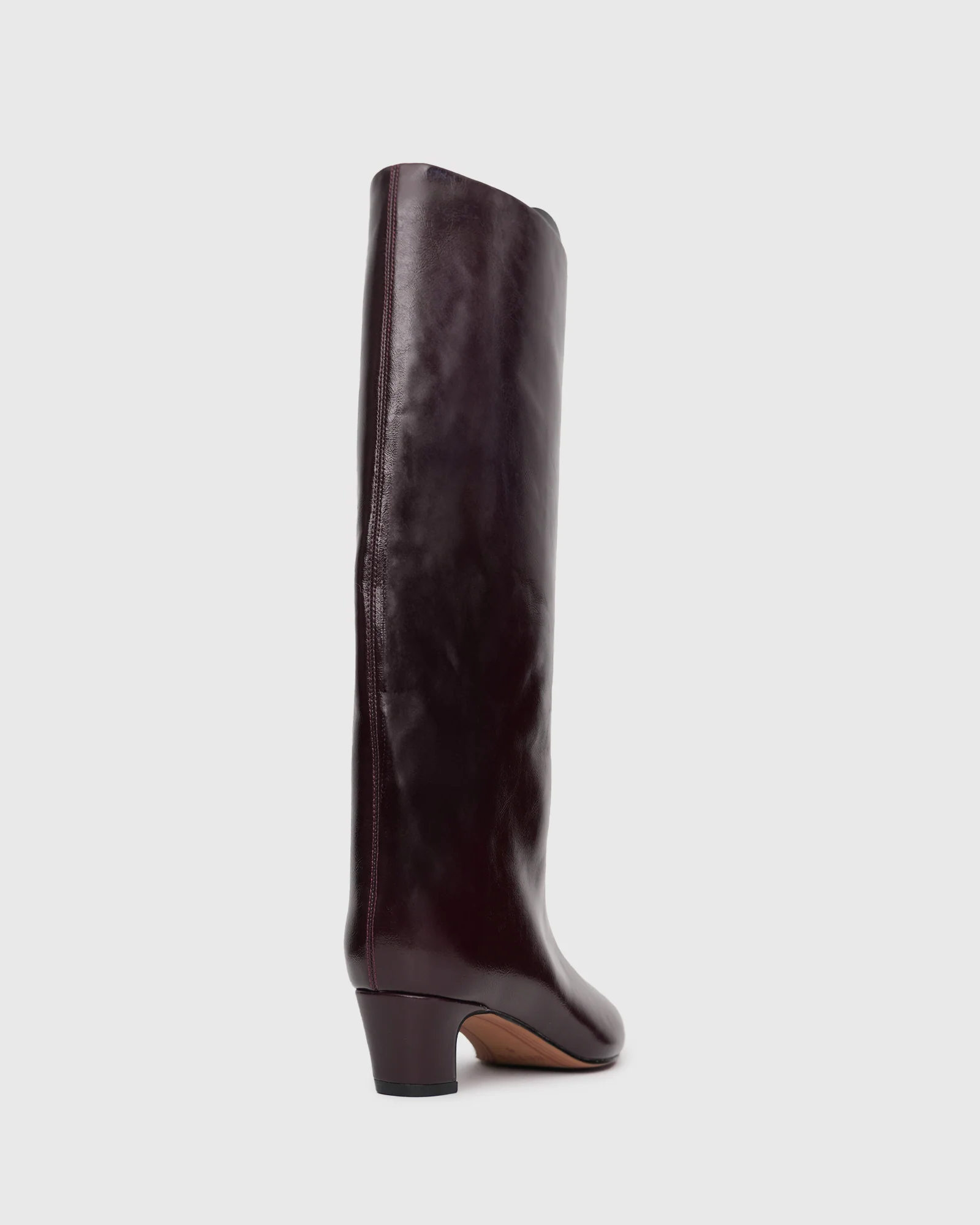 PRE-ORDER LAVINA Pointed Toe Dress Boots - Image 7